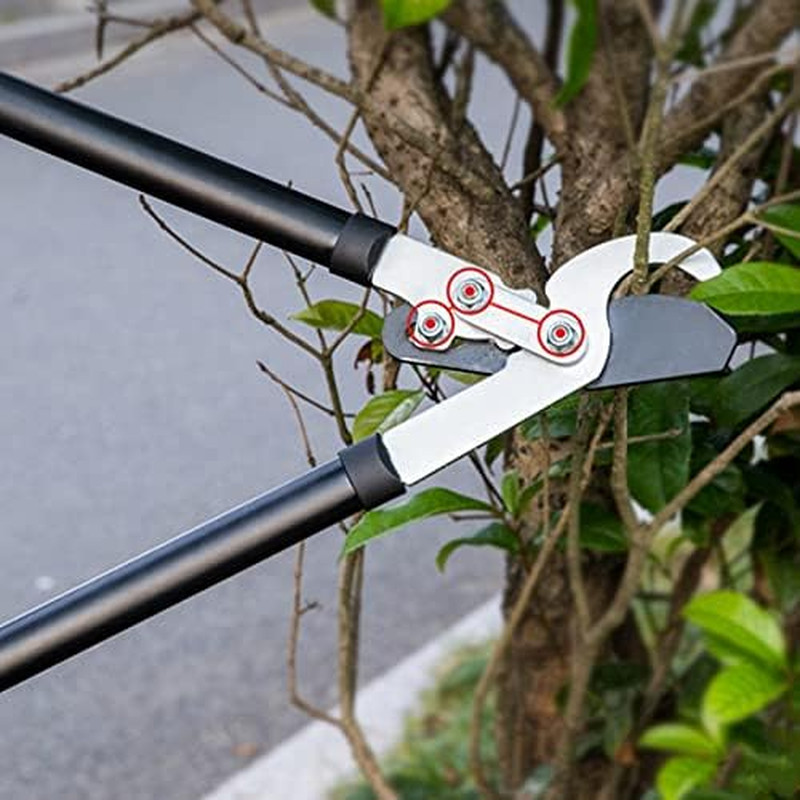 Bypass Lopper with Compound Action, Chops Thick Branches with Ease, 30 Inch Tree