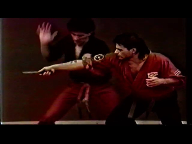Joint Locking Mastery: Bending, Twisting & Torque Techniques | Chin Na | Karate