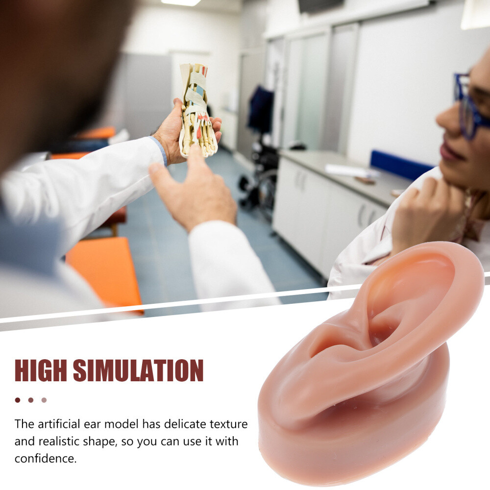Simulation Human Ear Model ear model for teaching Ear Model Silicone Ears