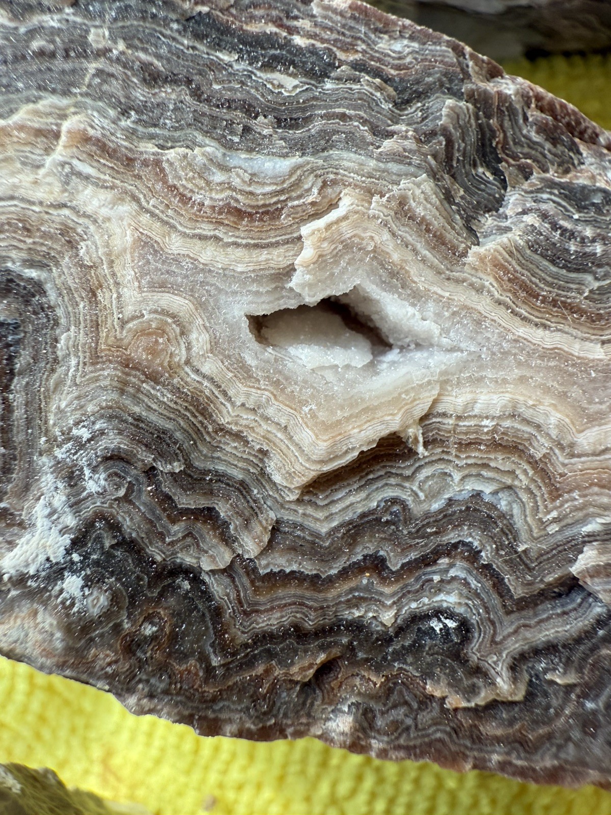 Crazy Lace Agate, Rough Lace Agate From Summerville Ga 10lbs Lot