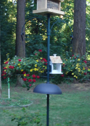 Pole support for EZ Anchor easy Lawn Anchor system, 6' or 8' w/ smooth splice