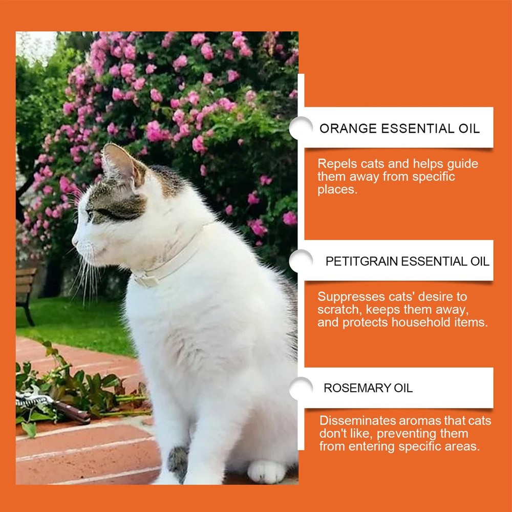 Cat Scratch Spray Keep Off Cat Spray 100ml Spray To Keep Cats From Efficient