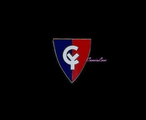 USA 38th Inf. Div. + a custom promo pin