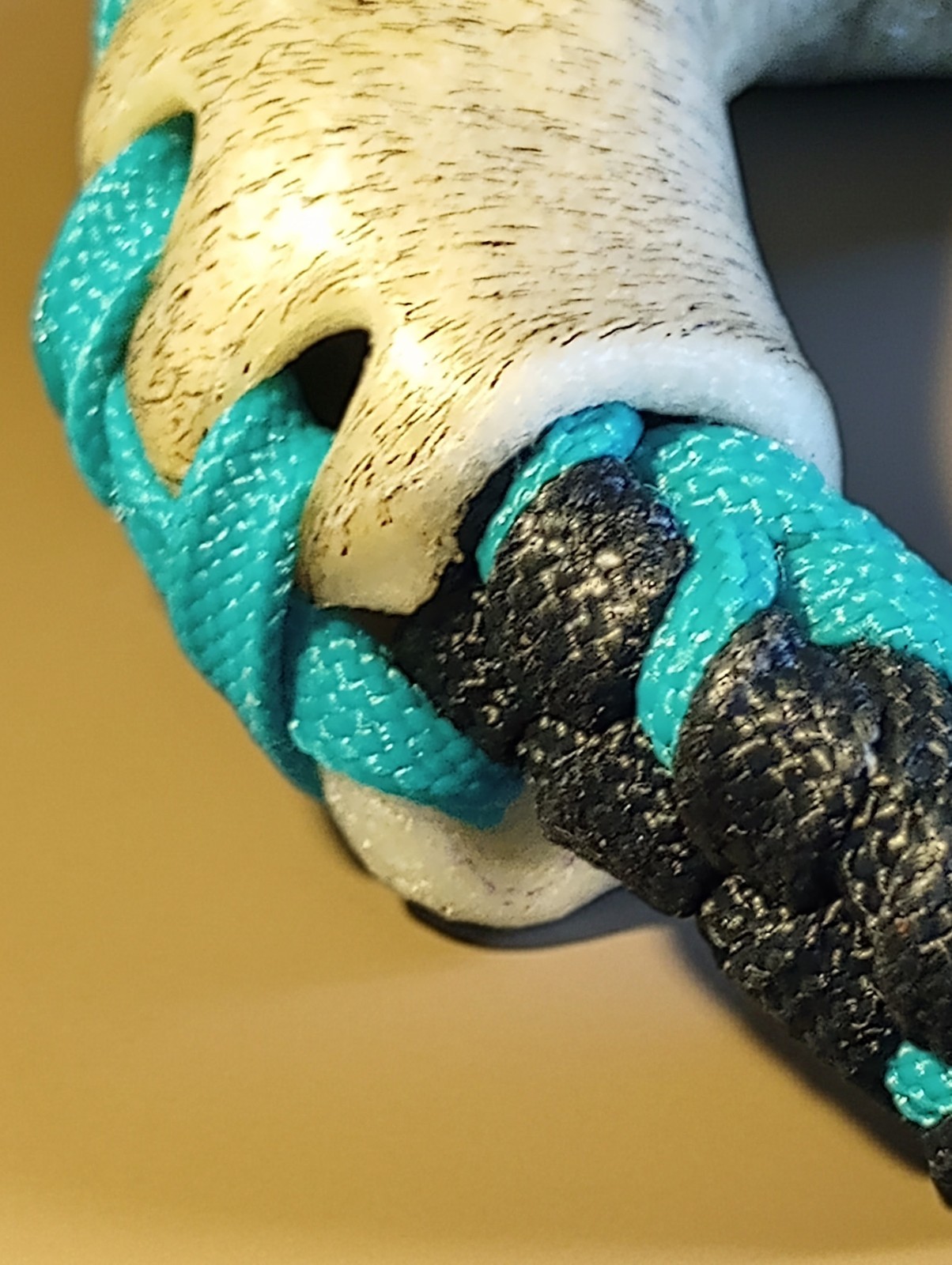 TURQUOISE n BLACK 10 Plait Pryor ParaCord Hondo w/ Bull Rawhide Burner Buckaroo