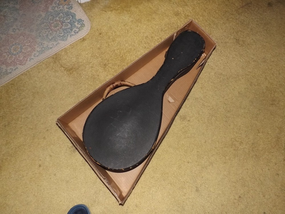 Rare Weymann Mandolute 100yrs old