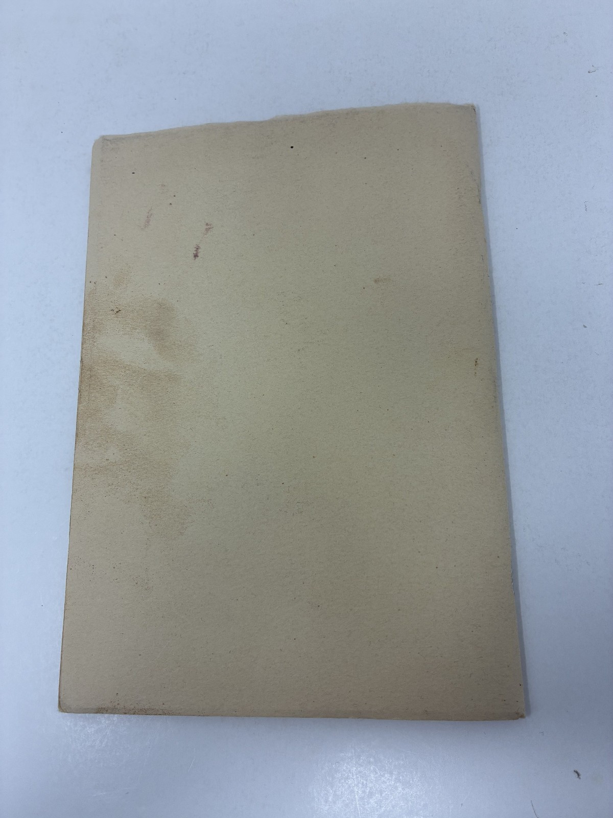 1900 Victorian Woman Wife & Mother Handwritten Diary with Her Life Memorial!