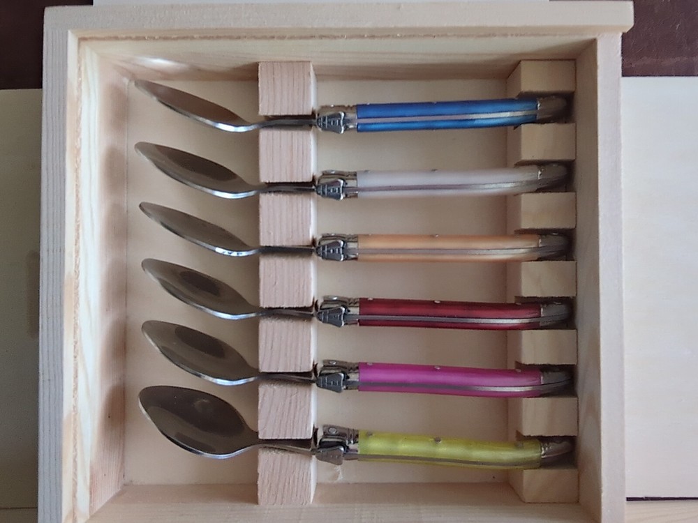 18pc Not branded Laguiole Like Flatware Set NIB