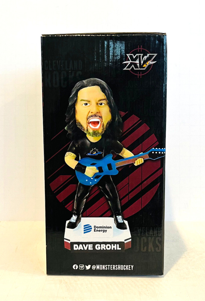 EMPTY DISPLAY BOX ~ Dave Grohl Cleveland Foo Fighters Nirvana Bobblehead Box SGA