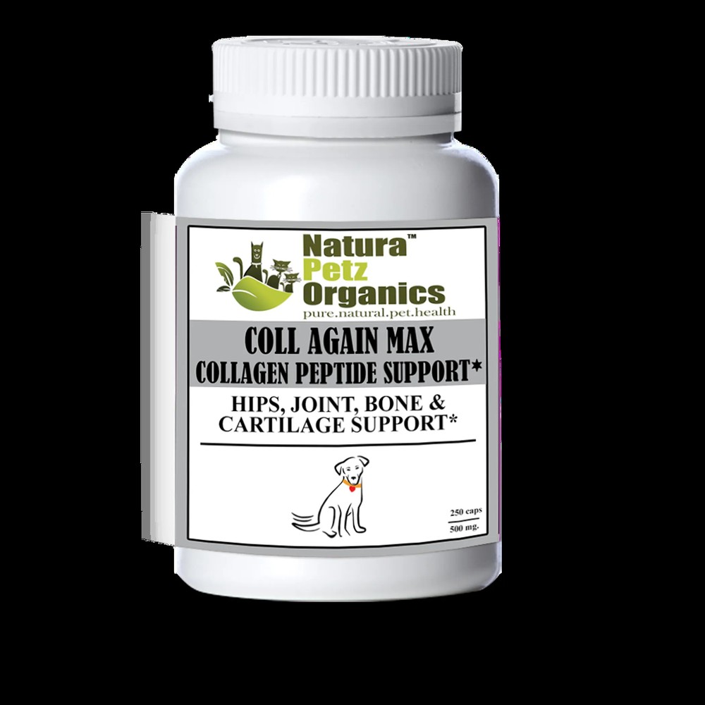 Coll Again Max Collagen Peptide Support Capsules* Hips, Joint, Bone & Cartilage