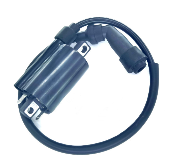 NEW 5PCS Ignition Coil forLeaf Spring System / Delphi High Pressure Ignition Coil