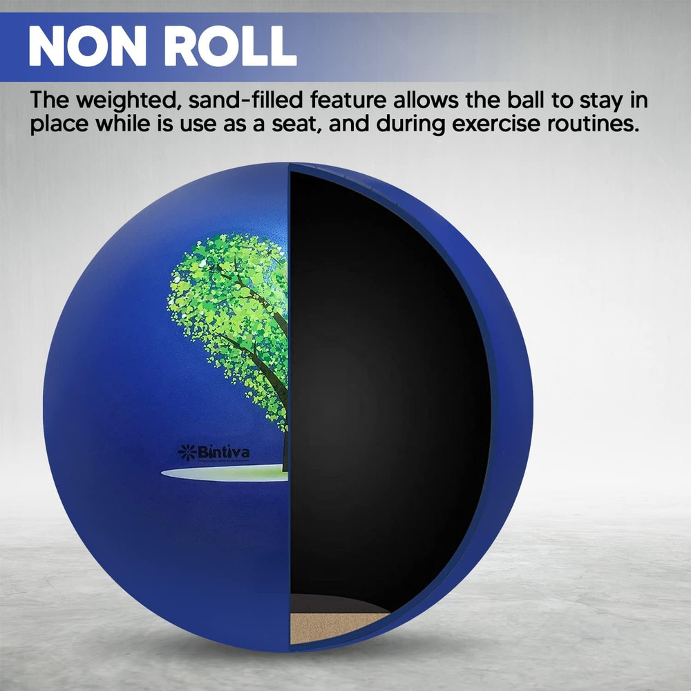 Exercise Ball