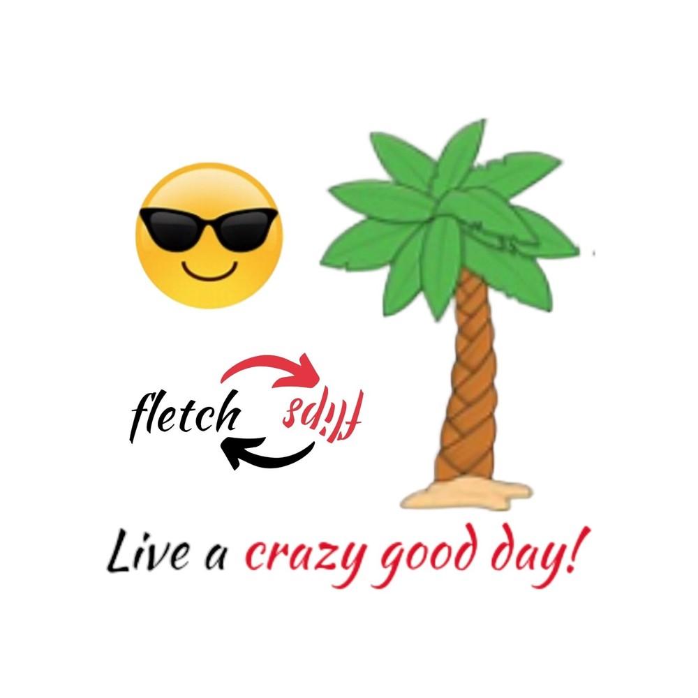 Coleman 220K Lantern Ventilator Cap Lid See Compatibility Chart in Description