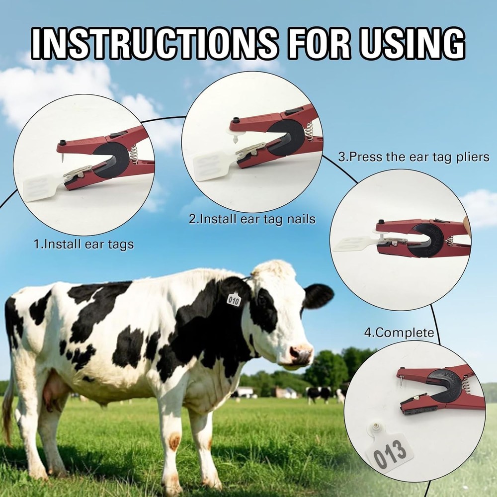 Cattle Ear Tags