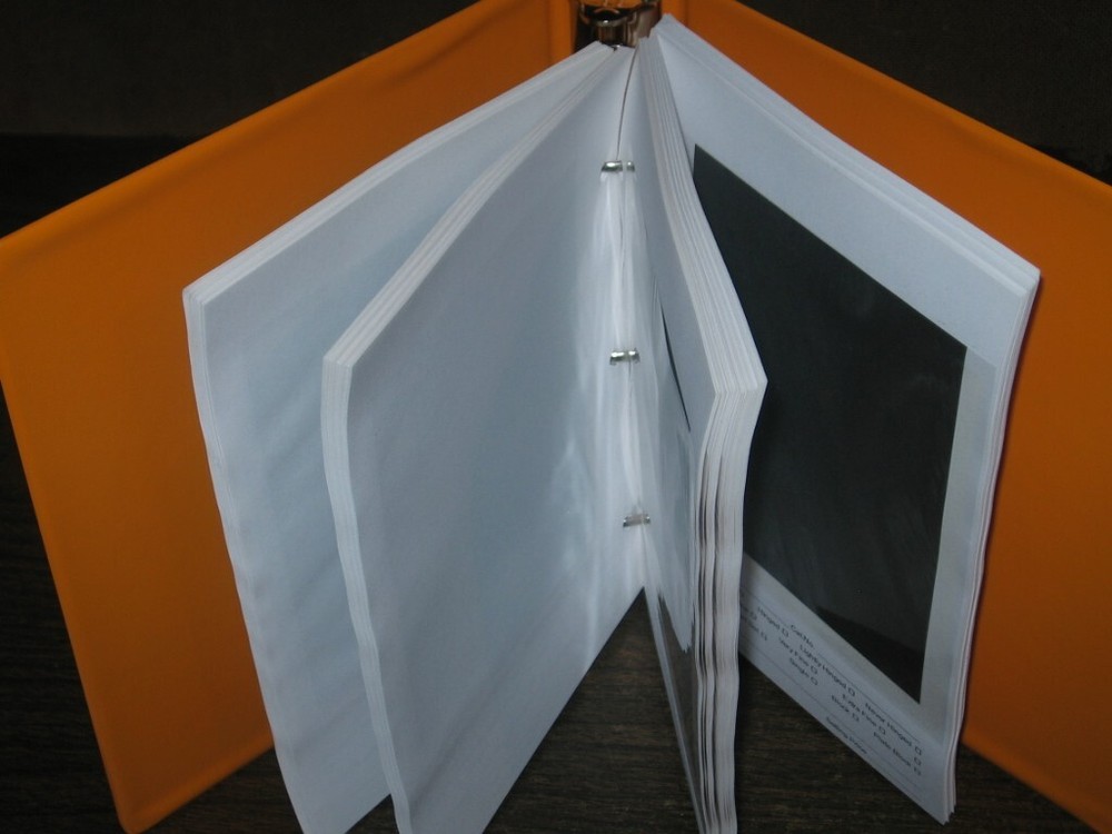 100 Glassine Stock Pages Sunburst Orange Binder Display US Stamp Plate Blocks