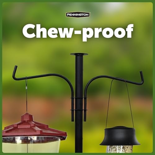 Pennington Feeder Pole Plus Bird Black 5 ft 5 ft,