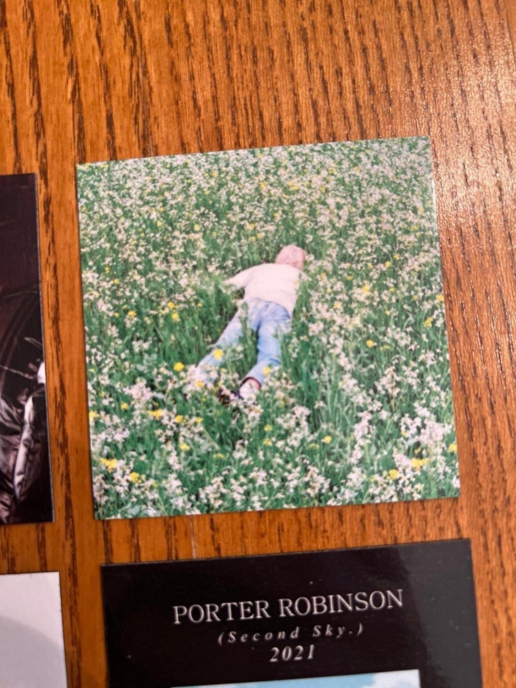 Porter Robinson fridge magnets