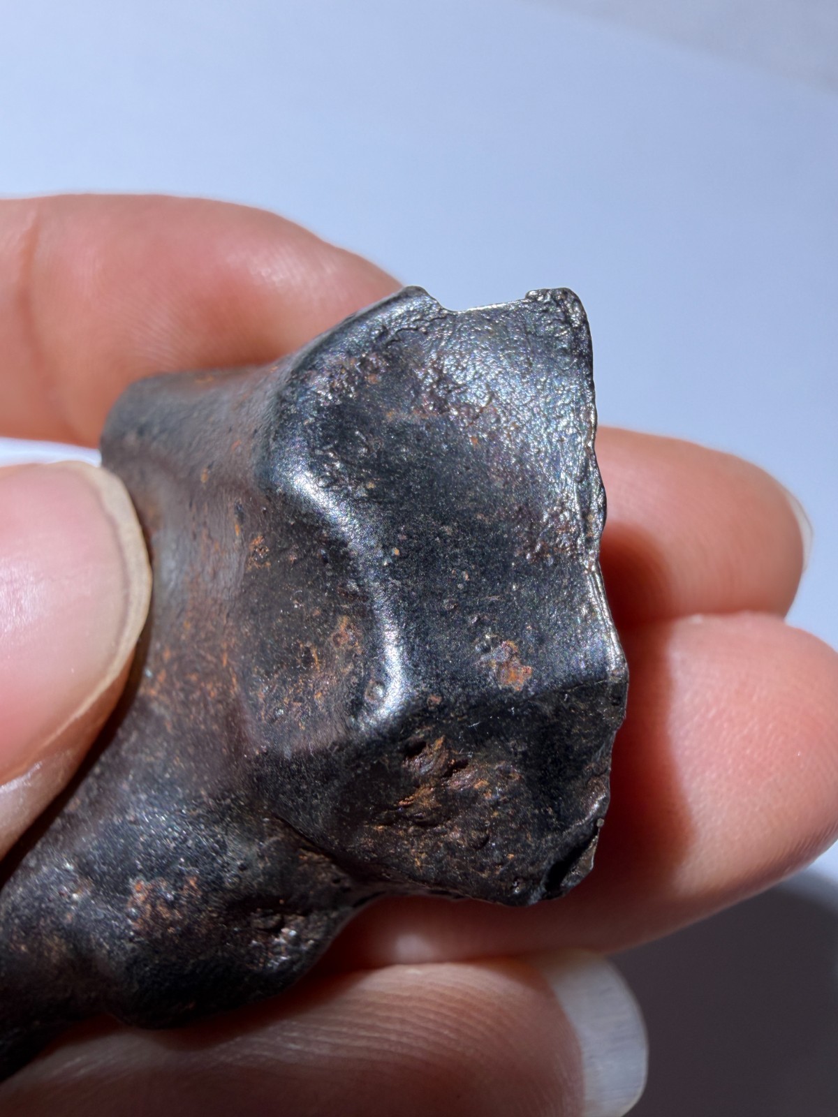 Sikhote-Alin Meteorite 28.25g Special-shaped attractive crust oriented feature
