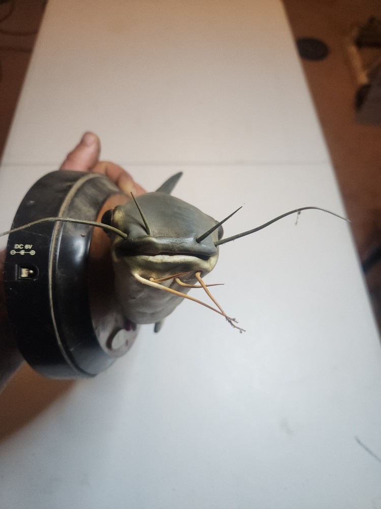 CoolCatfish Automated Wall Hanger Catfish Working