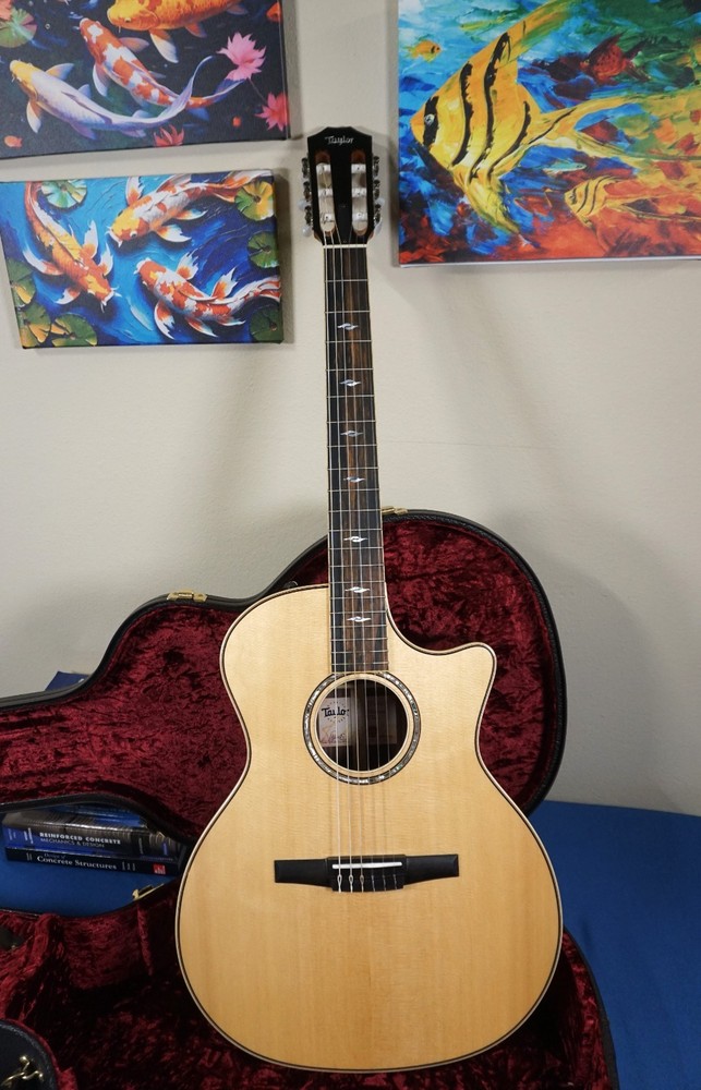 Taylor 814ce-N - Made in 2022