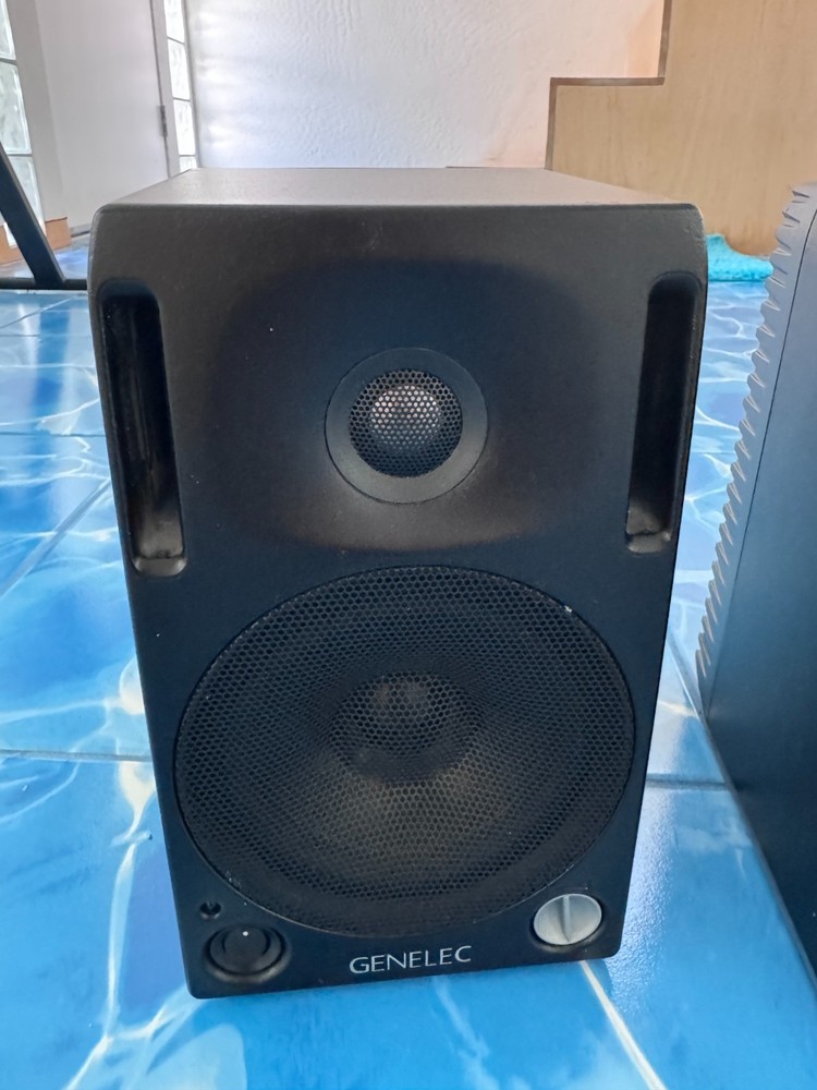 Genelec 2029B studio monitors - Matched Pair!