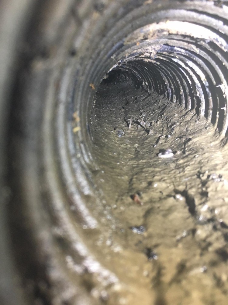 Water Jet Drain Cleaner, 1000 ft