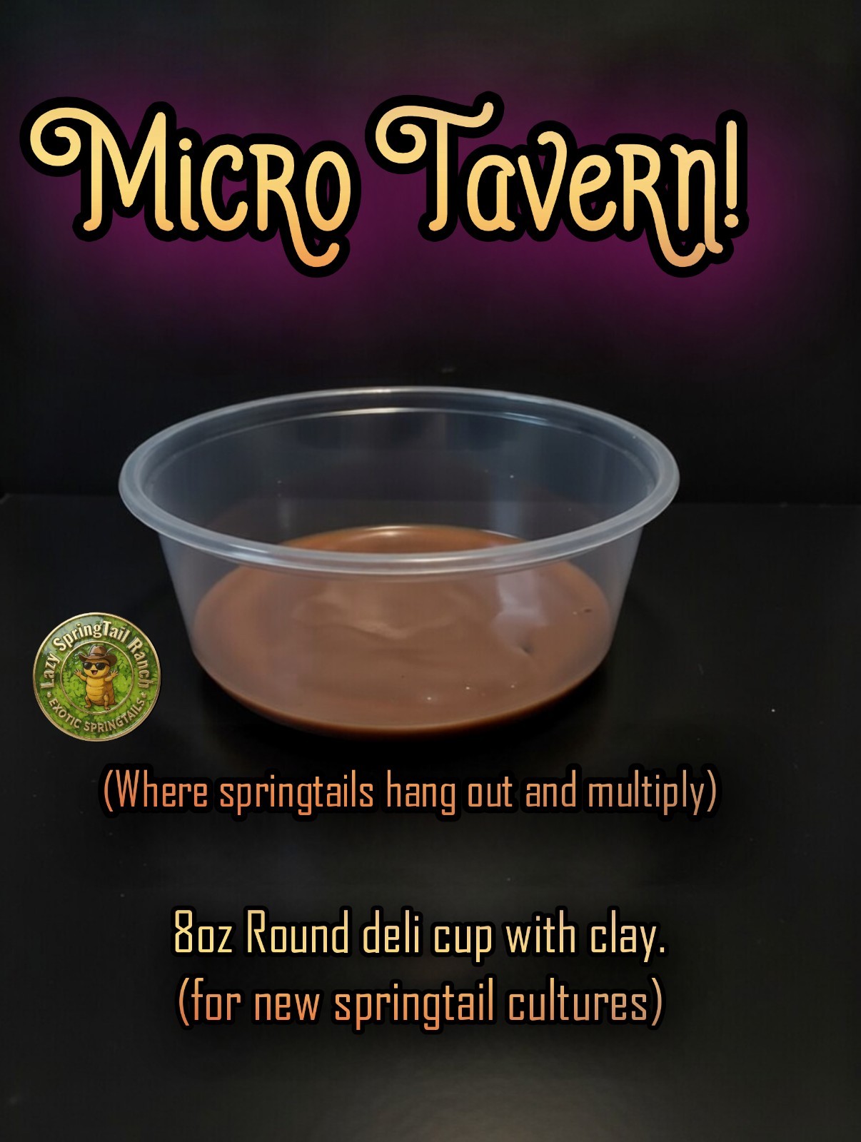 Live purple Springtails + (care kit)