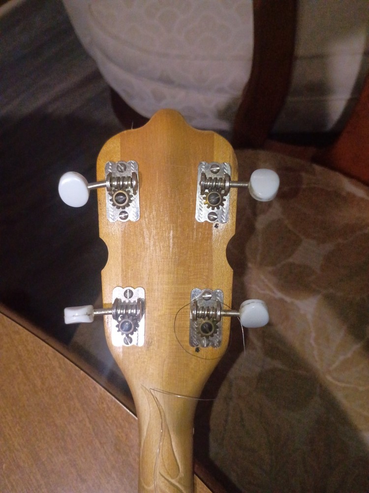 Banjo Needs Strings
