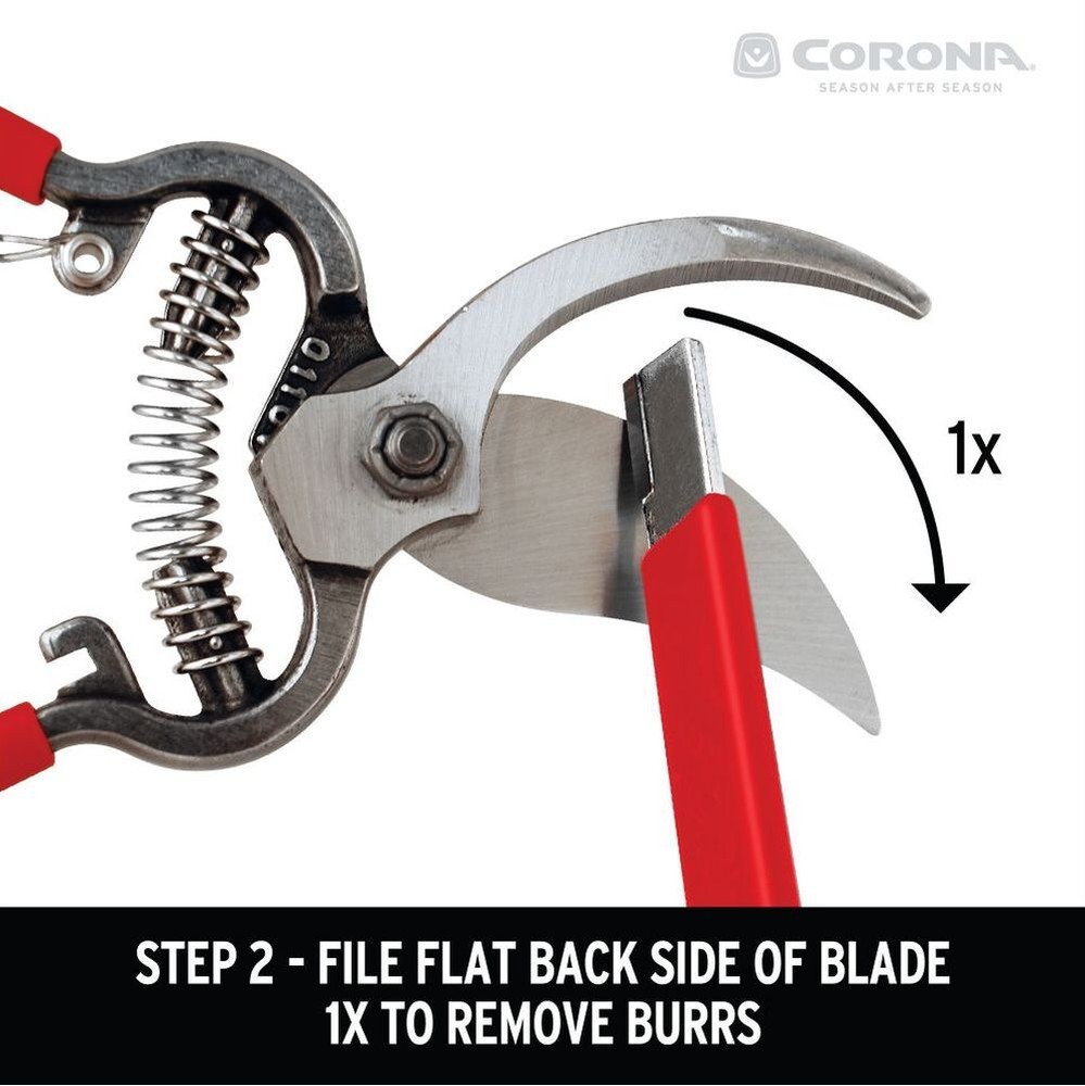 Corona Clipper Blade Sharpening Tool AC8300