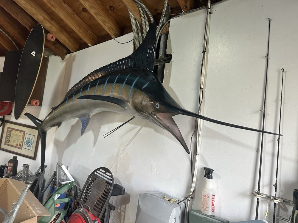 9 Foot Marlin