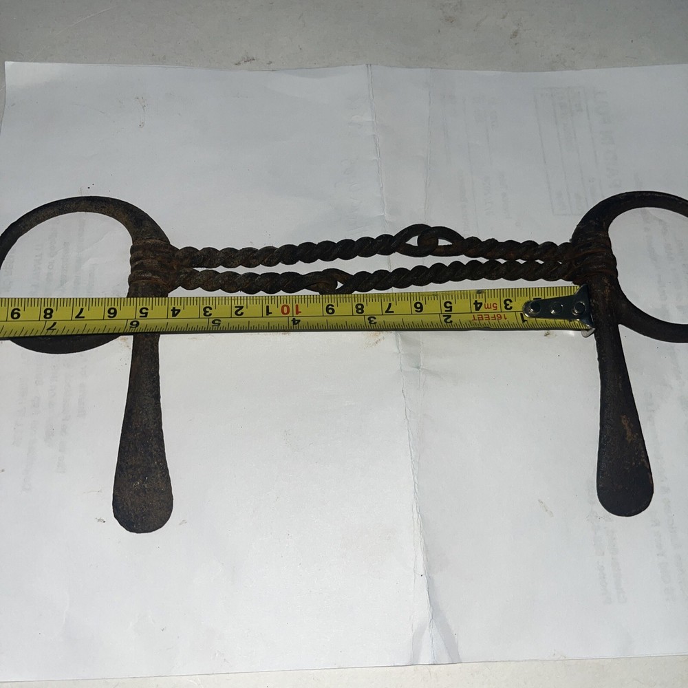Twisted wire O ring Horse Bit