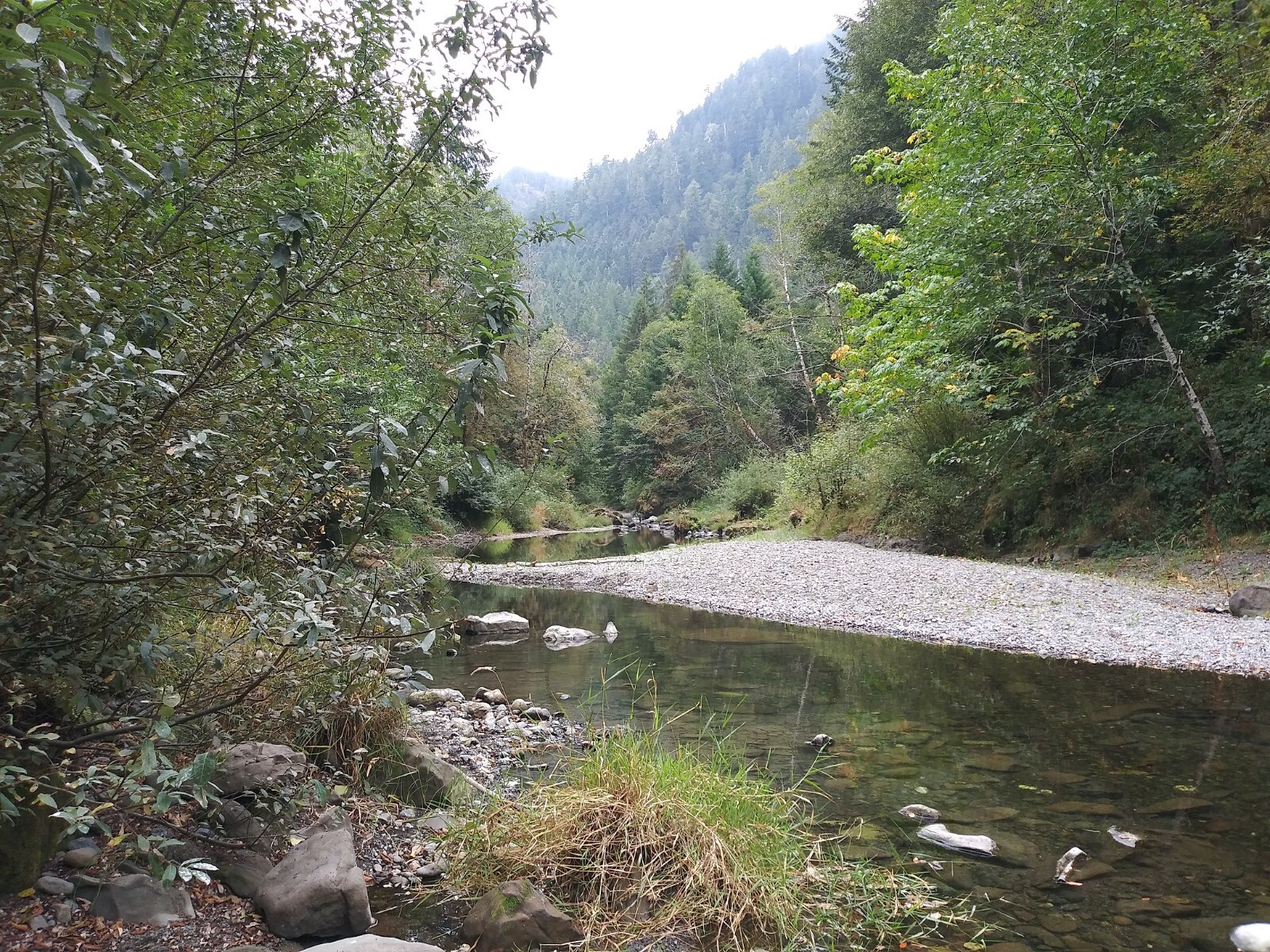 Republic Mining Prospectors Association Membership. Access to 18 Mining Claims.