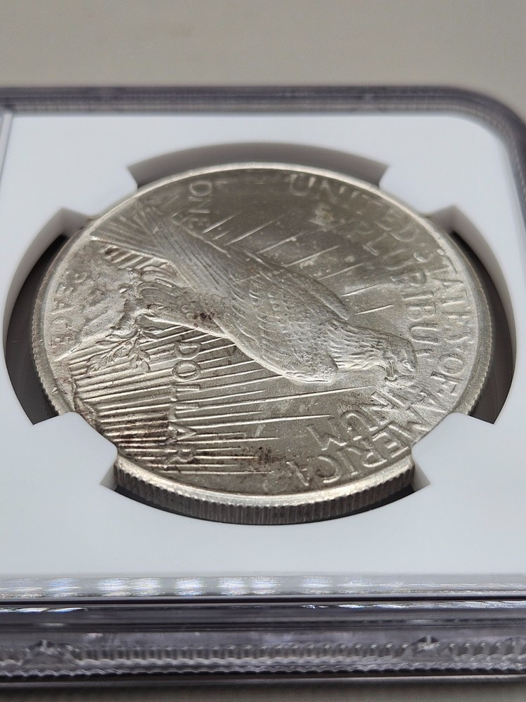 1925 Peace Silver Dollar NGC MS 64