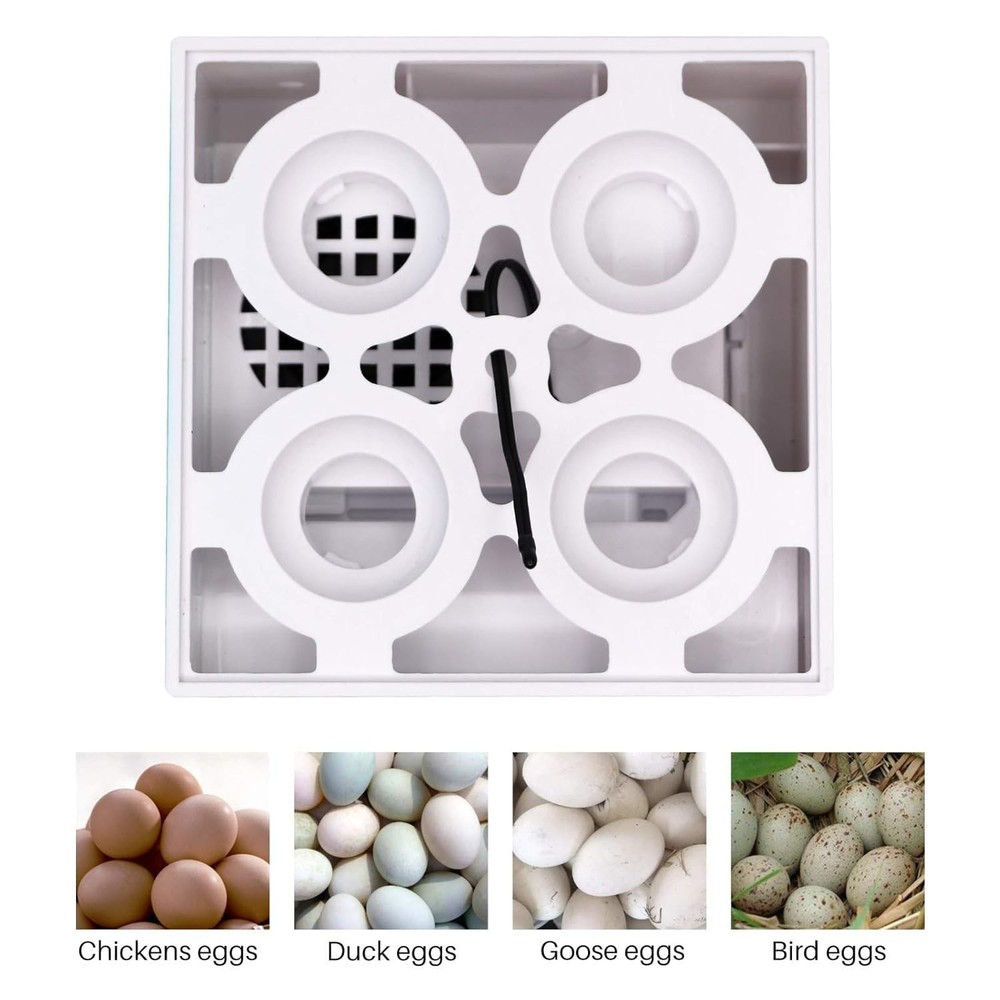 Digital Egg Incubator Egg Hatching Incubator Small House with Automatic Temperat