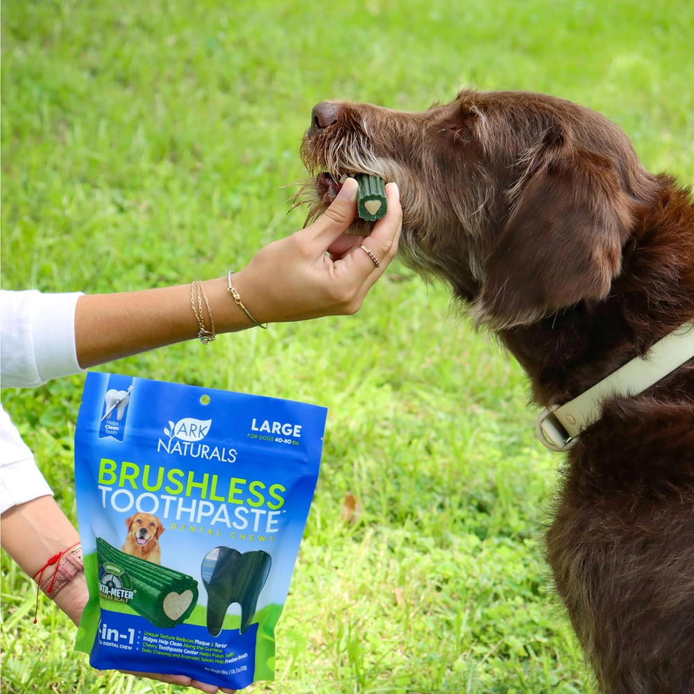 Brushless Dog Toothpaste Chews for Large Breeds, 18oz