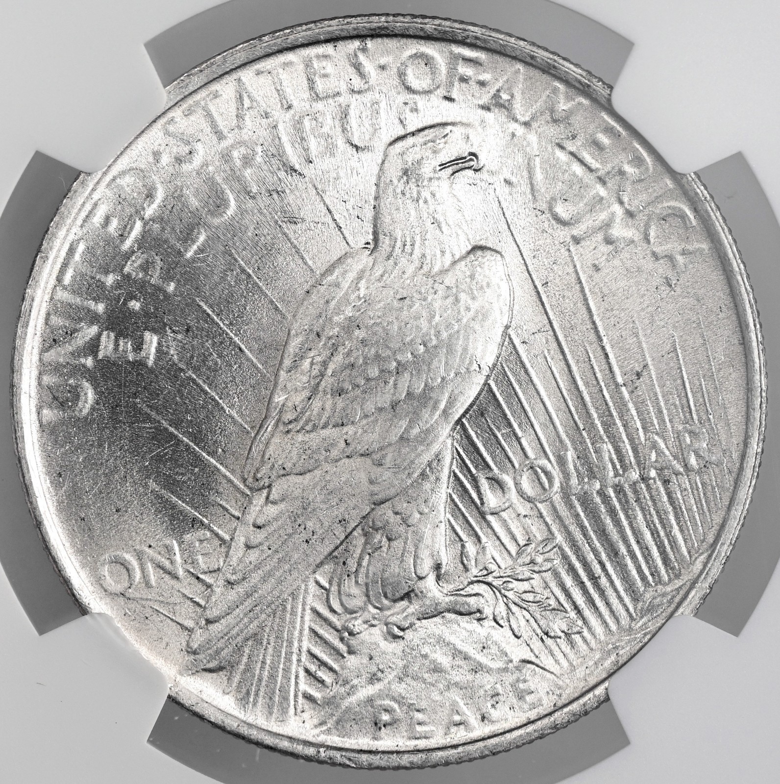 1924-P $1 PEACE SILVER DOLLAR "PHILADELPHIA MINT" NGC MS63 #8678136-010