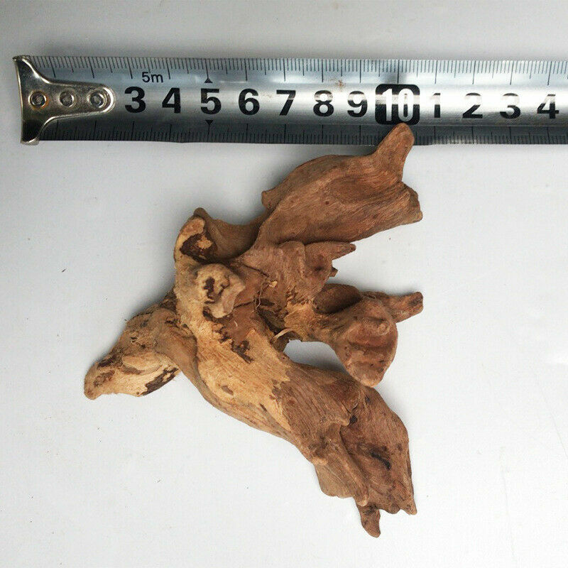 Natural Aquarium Driftwood Assorted Branches Reptile Ornament Fish Tank Decor