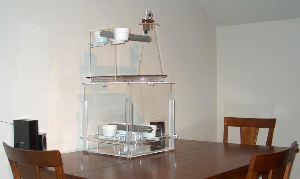 PARROT MESS-FREE FEEDER - the KITCHEN KUBE