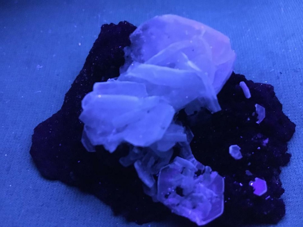 KB: NICE! SW FL. BLUE/WHITE CALCITE XLS. FROM MAPIMI, DURANGO, MEXICO