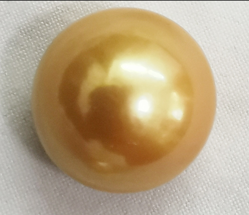 Huge 17mm Natural South Sea Genuine Gold Golden Round Loose Pearl Undrilled 1056
