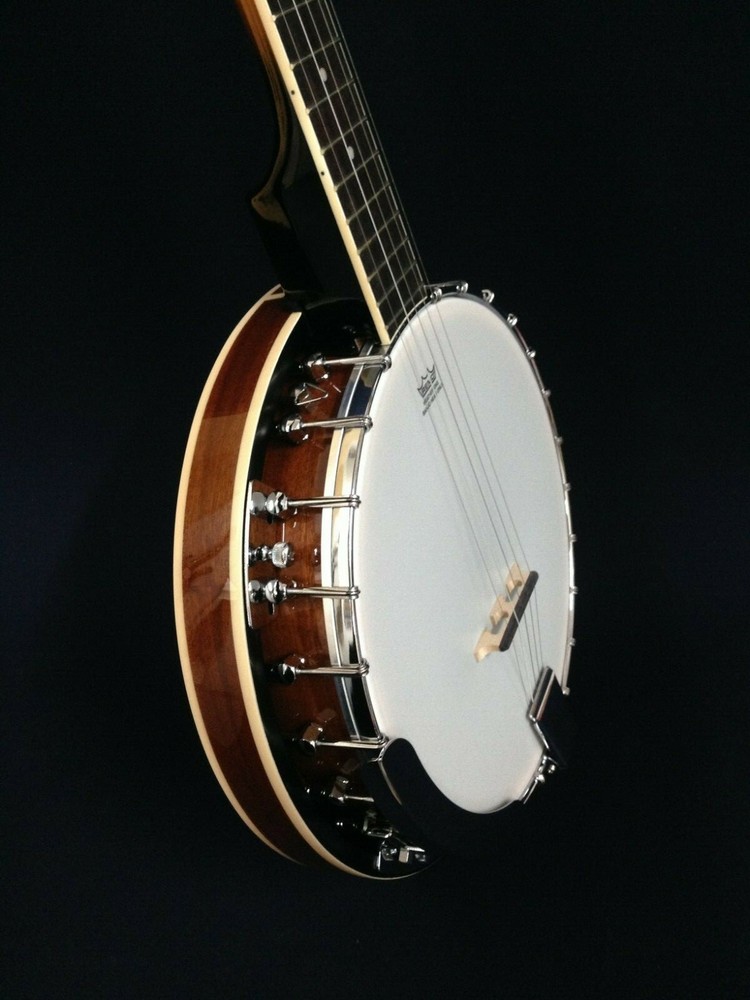 5-string Mahogany Resonator Banjo with bag, tuner and picks