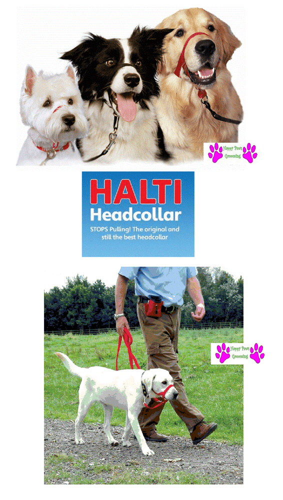 GENUINE HALTI DOG Head Collar NO PULL Slip Training HeadCollar STOP PULLING NEW!