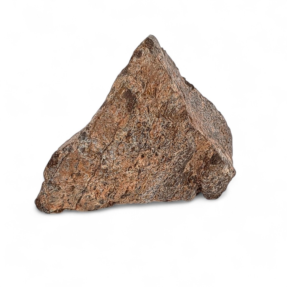 Jurassic Dinosaur Fossil Bone from Morrison Formation Includes Display