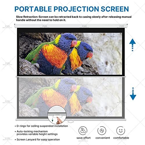 Proht 84" Manual Projection Screen 05350 169 Aspect Ratio Pull Down Projector