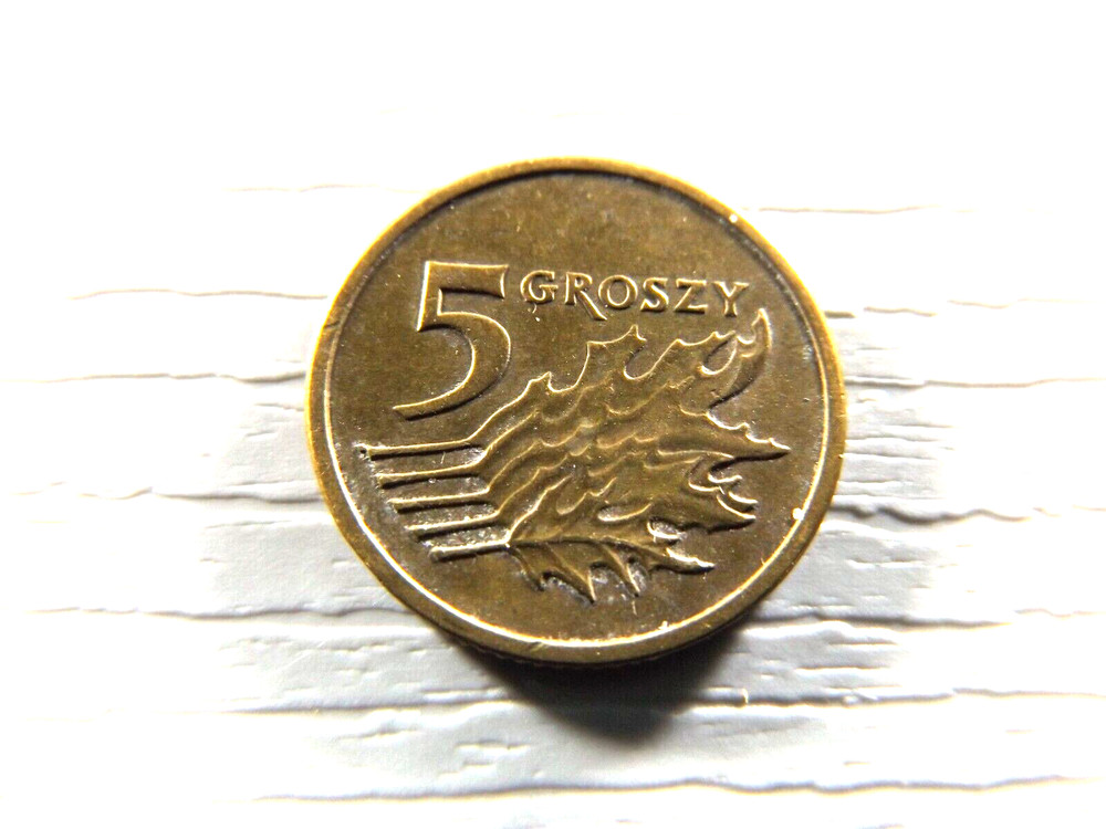 Poland 2004 5 Groszy