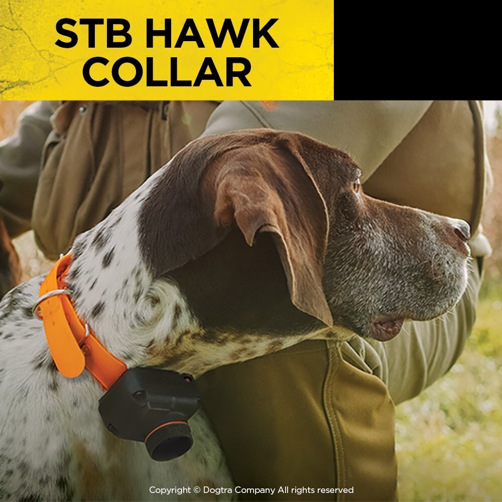 Dogtra STB Beeper Collar – Hawk Version Dog Training Collar