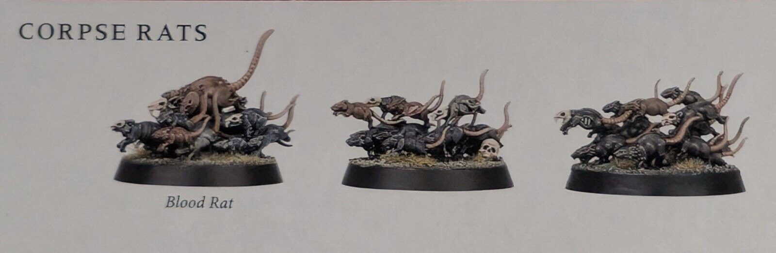 3x Corpse Rats, Cursed City, Soulblight Gravelords, AOS, GW