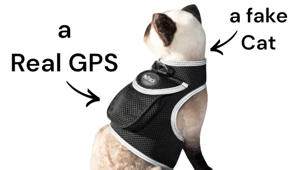 iTrackPET GPS Pet Tracker for Cat - Waterproof, GPS Location & Activity Tracker