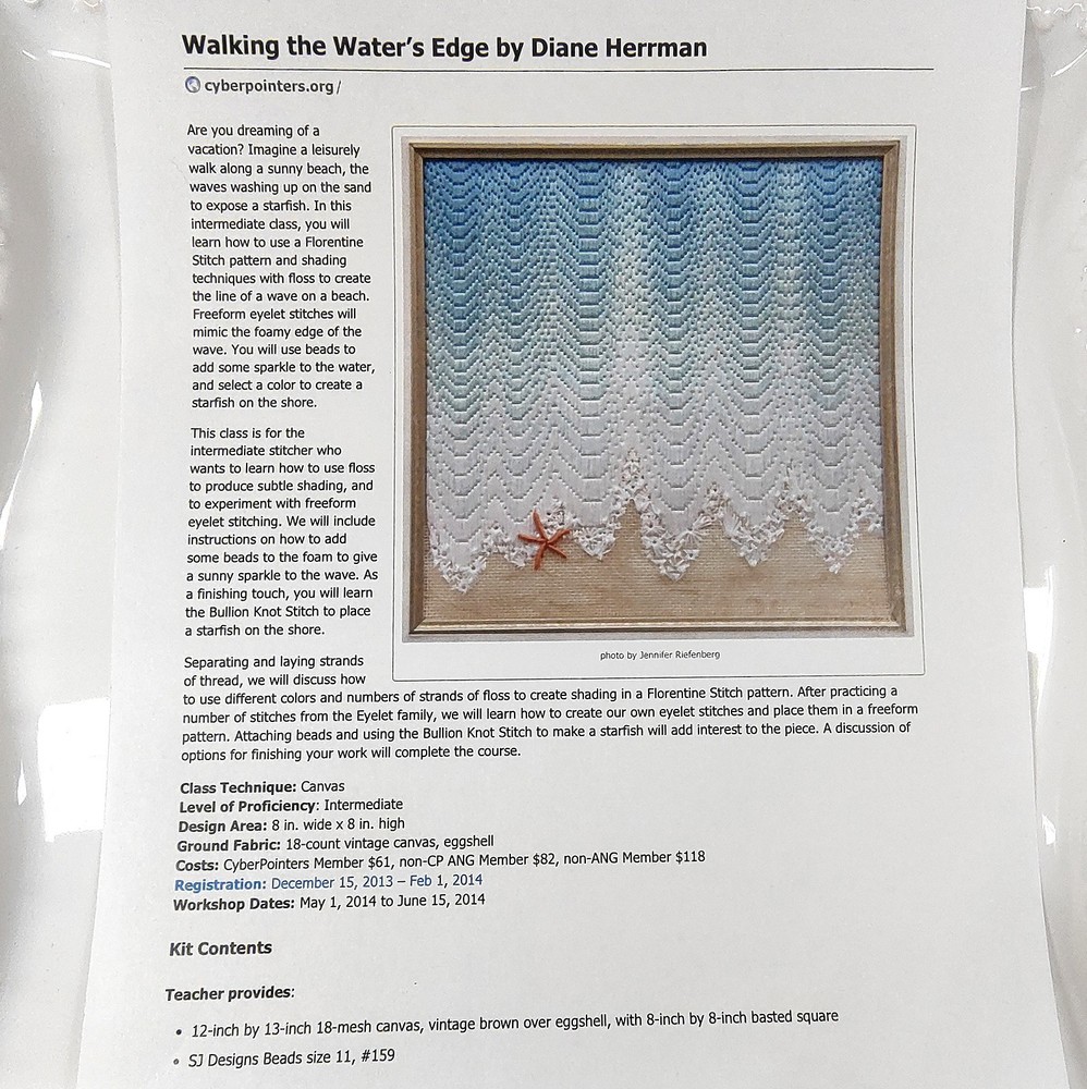 Diane Herrmann Needlepoint Pattern Walking Water’s Edge + RETIRED Class Lessons