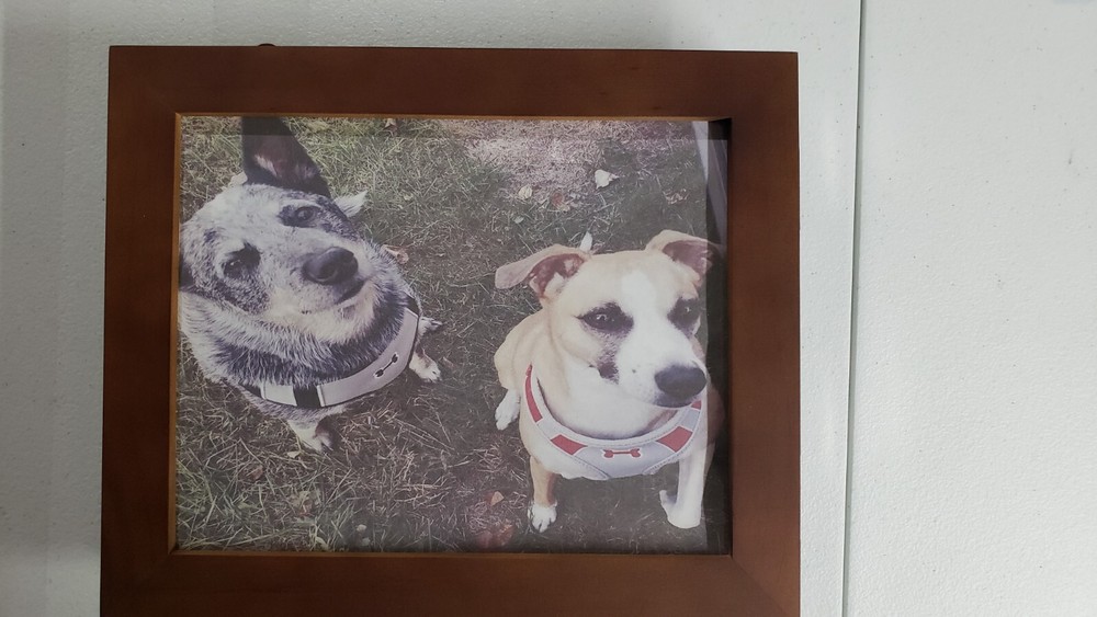 concealment picture frame