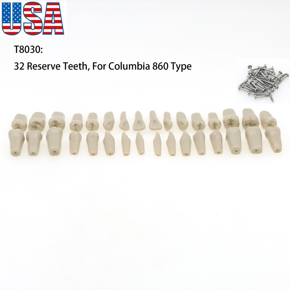US Dental 32pcs Replacement Teeth fits Columbia Dentoform 860 Type  Teeth Model